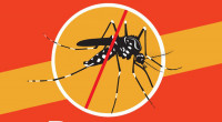 Dengue: one patient dies, 148 hospitalized in 24hrs